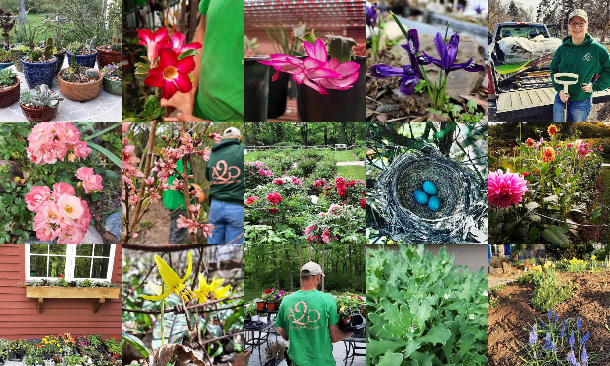 ☘️aiiKEN73*Garden☘️AG202603 Backyard Garden Tour - April 2026 - Zone 6A Michigan - YouTube