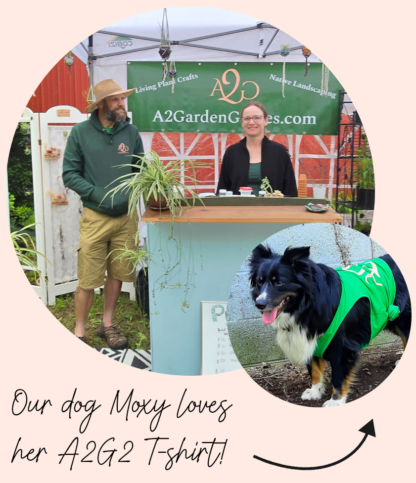 anna-joel-moxy-shirt