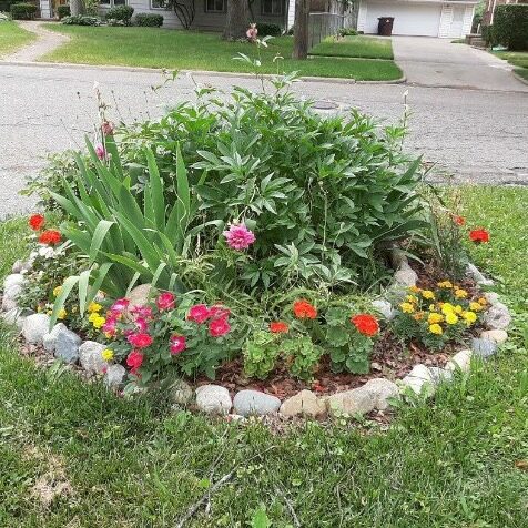 20200621_221220-COLLAGE