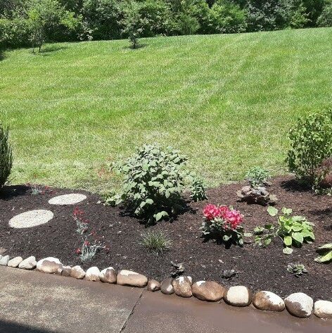 20200621_224033-COLLAGE