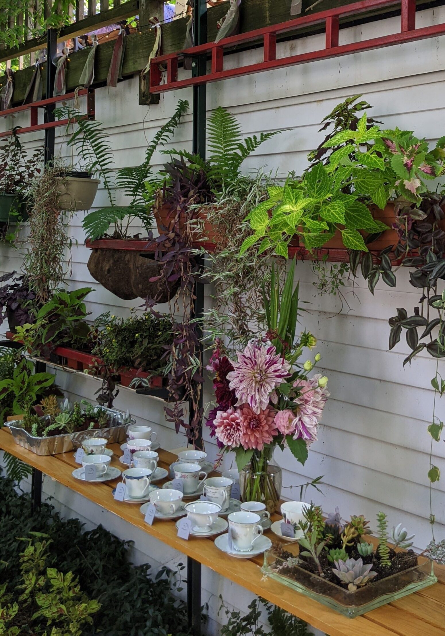 PXL_20210819_180351489